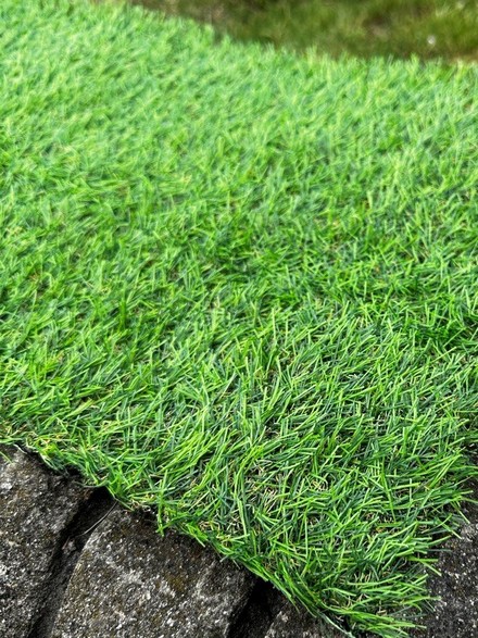 ����� ������ Virtual Landgrass 20�� 24